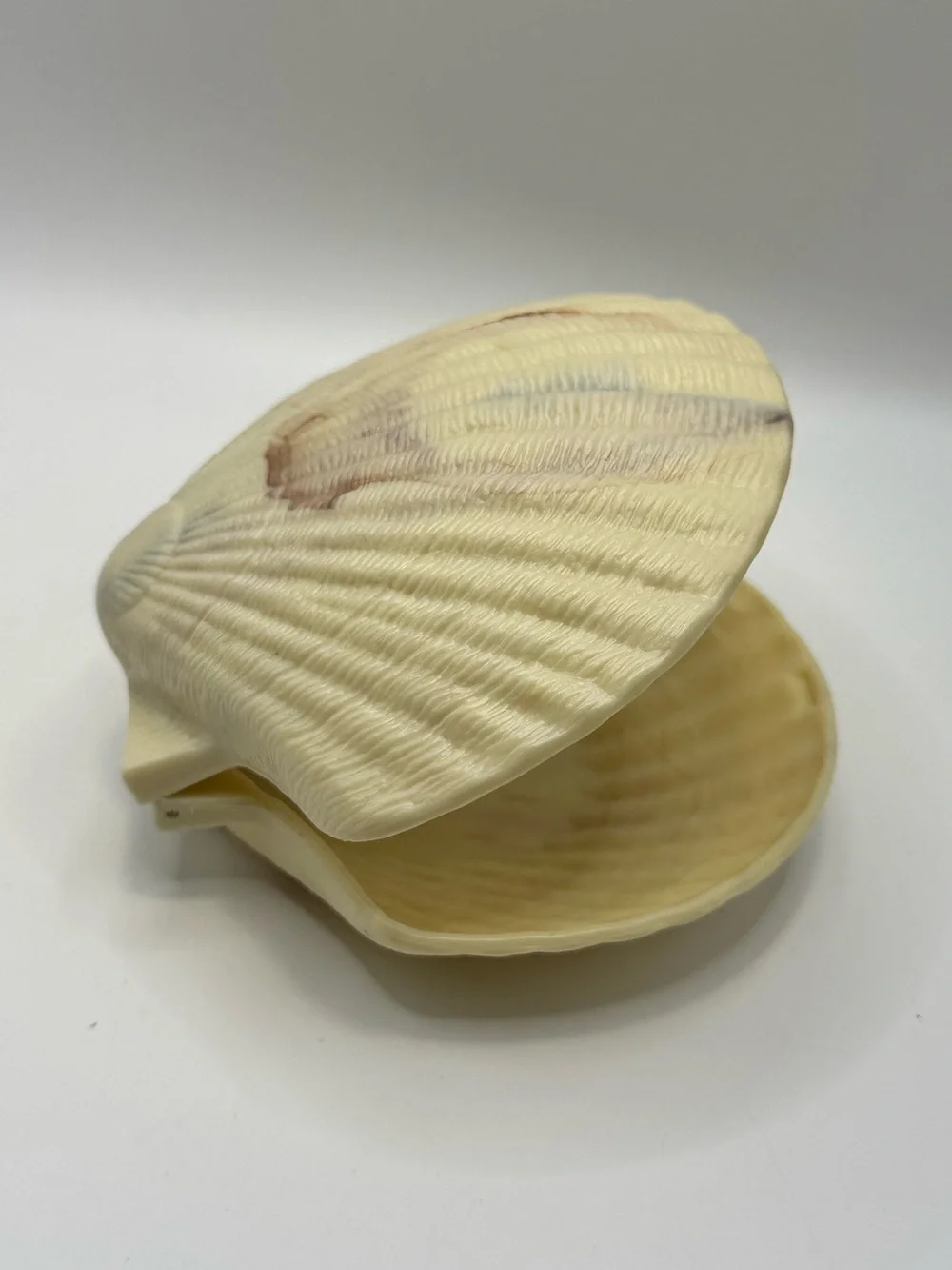 Vintage Plastic Hinged Clam Shell Trinket Jewelry Box Ocean Beach Decor Rare